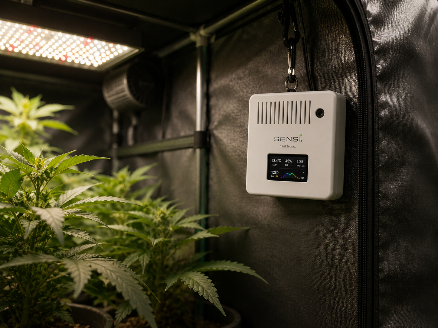 Sensi sensor mounted in a grow tent showing live temperature, humidity, and light readings